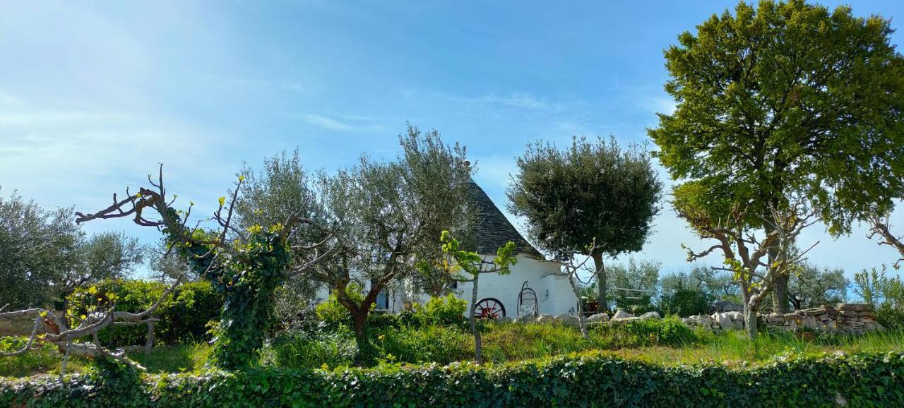 Antico Trullo Immerso Nella Campagna Alberobello Dış mekan fotoğraf